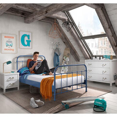 Metāla gulta New York, zila cena un informācija | Bērnu gultas | 220.lv