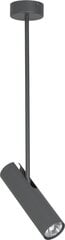 Nowodvorski Lighting piekaramā lampa Eye Super Graphite I A 6495 цена и информация | Люстры | 220.lv