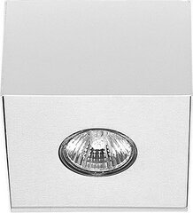 Nowodvorski Lighting griestu gaismeklis Carson White-Silver I 5573 cena un informācija | Griestu lampas | 220.lv