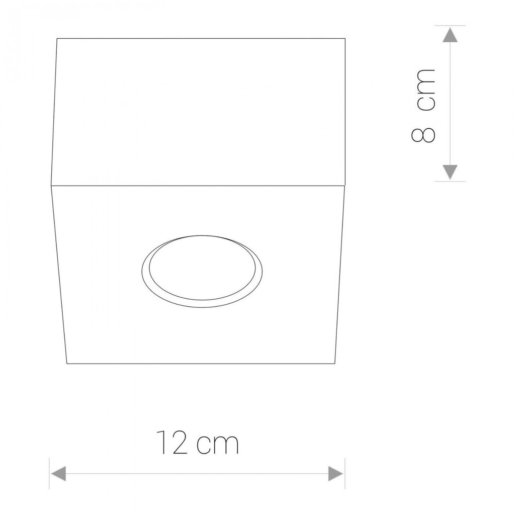 Nowodvorski Lighting griestu gaismeklis Carson White-Silver I 5573 цена и информация | Griestu lampas | 220.lv