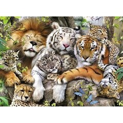 Puzle Tīģeri, gepardi un lauvas цена и информация | Пазлы | 220.lv
