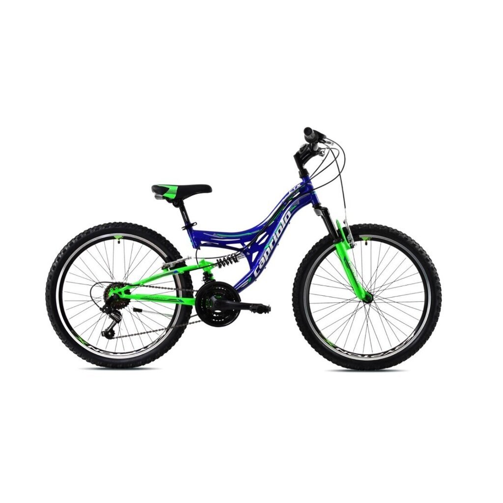 Pusaudžu velosipēds Capriolo CTX 240 24 zils-zaļš, rāmis 14 цена и информация | Velosipēdi | 220.lv