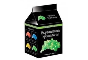 Zinātniskā spēle „Izaudzējam kristālus zaļš” cena un informācija | Attīstošās rotaļlietas | 220.lv