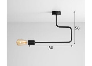 Griestu lampa Eko cena un informācija | Griestu lampas | 220.lv