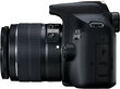 Canon EOS 2000D + 18-55mm IS + 75-300mm Kit цена и информация | Digitālās fotokameras | 220.lv