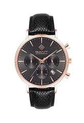 Мужские часы Gant Park Avenue Chrono-IPR G123006 890954051 цена и информация | Мужские часы | 220.lv