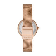 Skagen Amberline женские часы 891257092 цена и информация | Женские часы | 220.lv