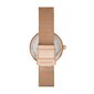 Skagen Amberline sieviešu rokas pulkstenis 891257092 цена и информация | Sieviešu pulksteņi | 220.lv