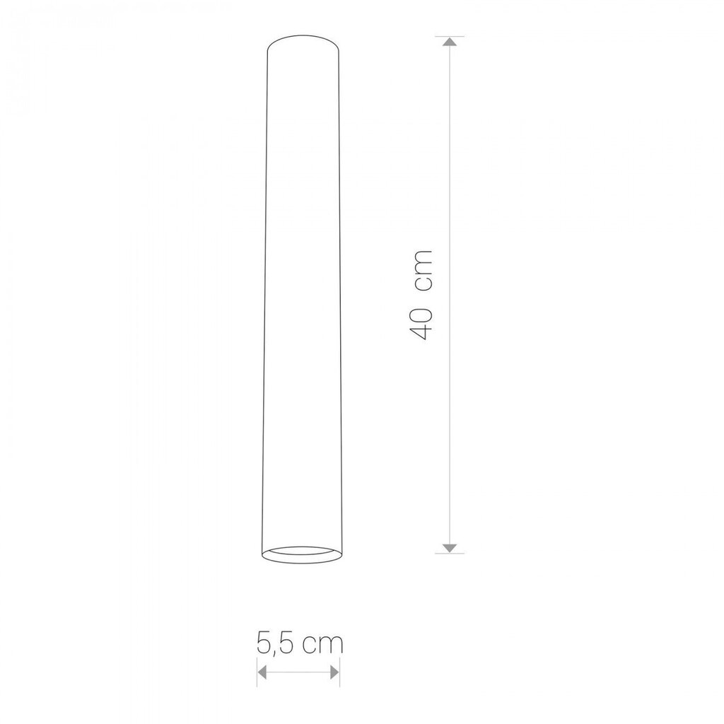 Nowodvorski Lighting griestu lampa Eye Graphite L 5472 цена и информация | Griestu lampas | 220.lv