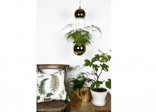 Griestu lampa Mini Planter, misiņa apdares 890968283 cena un informācija | Griestu lampas | 220.lv