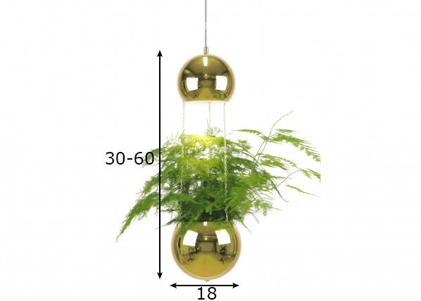 Griestu lampa Mini Planter, misiņa apdares 890968283 cena un informācija | Griestu lampas | 220.lv