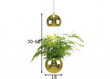 Griestu lampa Mini Planter, misiņa apdares 890968283 cena un informācija | Griestu lampas | 220.lv