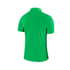 Krekls vīriešiem Nike Dry Academy18 Football Polo M 899984361, zaļš cena un informācija | Sporta apģērbs vīriešiem | 220.lv