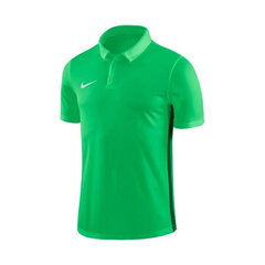 Krekls vīriešiem Nike Dry Academy18 Football Polo M 899984361, zaļš cena un informācija | Sporta apģērbs vīriešiem | 220.lv