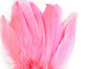 Zosu spalvas, rozā 15-21 cm, 20 gab. cena un informācija | Rotu veidošana, pērļošana | 220.lv