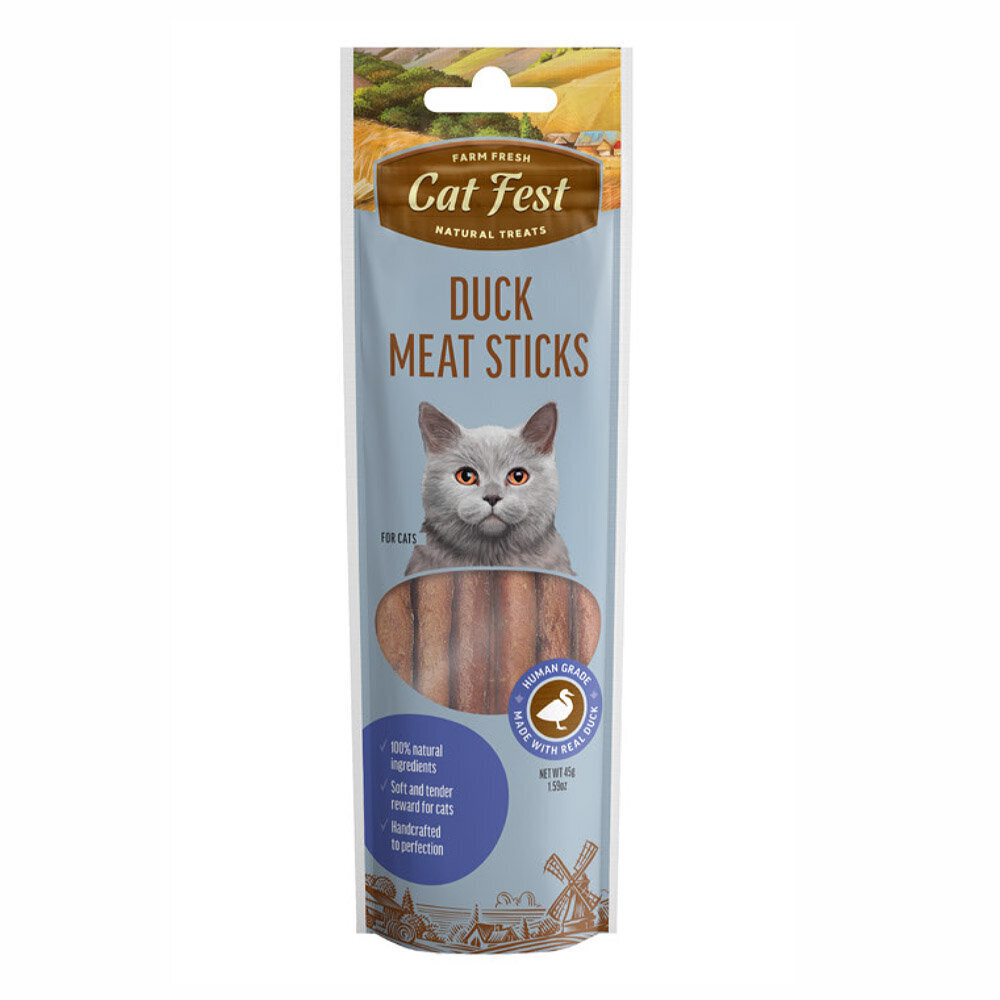 CatFest Gaļas desas no pīles, kaķiem, 45g. цена и информация | Gardumi kaķiem | 220.lv