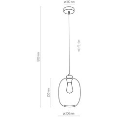 Подвесной светильник TK Lightning 3180 Elio цена и информация | Люстры | 220.lv