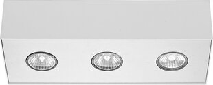 Nowodvorski Lighting griestu gaismeklis Carson White-Silver III 5575 цена и информация | Потолочные светильники | 220.lv