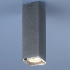 Nowodvorski Lighting griestu lampa Bryce Concrete S 5718 cena un informācija | Griestu lampas | 220.lv