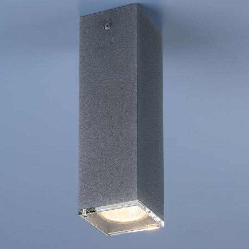 Nowodvorski Lighting griestu lampa Bryce Concrete S 5718 цена и информация | Griestu lampas | 220.lv