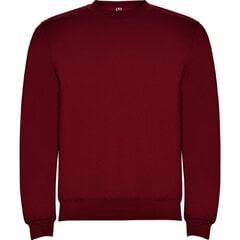 Džemperis ar garām rokām. cena un informācija | Zēnu jakas, džemperi, žaketes, vestes | 220.lv