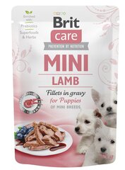 Brit Care Mini pouch Lamb fillets in gravy влажный корм для щенков 85г цена и информация | Консервы для собак | 220.lv