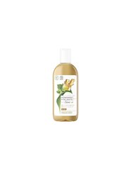 Dušas želeja Dove Powered by Plants Ginger Oil Body Wash 250 ml cena un informācija | Dušas želejas, eļļas | 220.lv