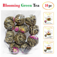 Blooming tea - Ziedošā tēja - Izlase - 10 gab. (Bulk) cena un informācija | Tēja | 220.lv