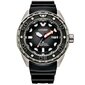 Vīriešu pulkstenis Citizen Promaster Marine Automatic Titanium Diver NB6004-08E cena un informācija | Vīriešu pulksteņi | 220.lv