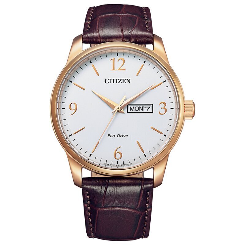 Vīriešu pulkstenis Citizen Eco-Drive BM8553-16AE cena un informācija | Vīriešu pulksteņi | 220.lv