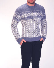 Vīriešu džemperis "Ice", gaiši zils, H4117-45883 cena un informācija | Vīriešu džemperi | 220.lv