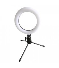 Gredzena formas LED lampa cena un informācija | Apgaismojums fotografēšanai | 220.lv