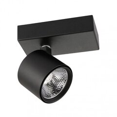 Griestu lampa SPL-2854-1B-BL цена и информация | Потолочные светильники | 220.lv