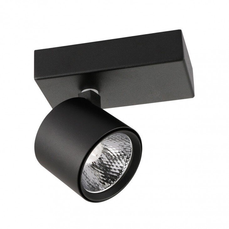 Griestu lampa SPL-2854-1B-BL cena un informācija | Griestu lampas | 220.lv