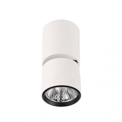 Griestu lampa SPL-2854-1-SC-WH цена и информация | Потолочные светильники | 220.lv