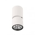 Griestu lampa SPL-2854-1-SC-WH