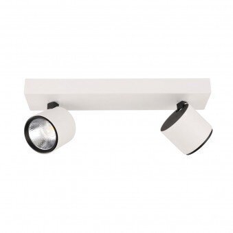 Griestu lampa SPL-2854-2B-WH cena un informācija | Griestu lampas | 220.lv