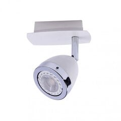 Griestu lampa SPL-9372-1A WH цена и информация | Потолочные светильники | 220.lv