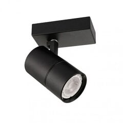 Griestu lampa SPL-2813-1B-BL цена и информация | Потолочные светильники | 220.lv