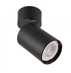 Griestu lampa SPL-2846-1SC-BL цена и информация | Потолочные светильники | 220.lv