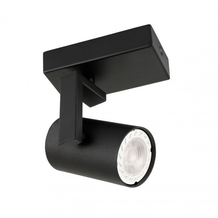 Griestu lampa SPL-2846-1 BL cena un informācija | Griestu lampas | 220.lv