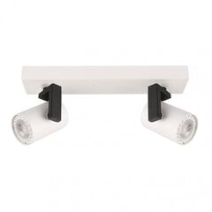 Griestu lampa SPL-2846-2 WH cena un informācija | Griestu lampas | 220.lv