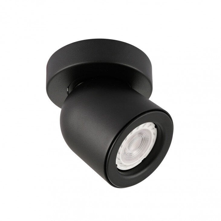 Griestu lampa SPL-2855-1C-BL цена и информация | Griestu lampas | 220.lv