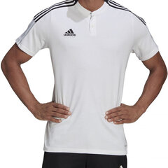 Krekls vīriešiem Adidas Tiro 21 Polo M GM7363, balts cena un informācija | Vīriešu T-krekli | 220.lv