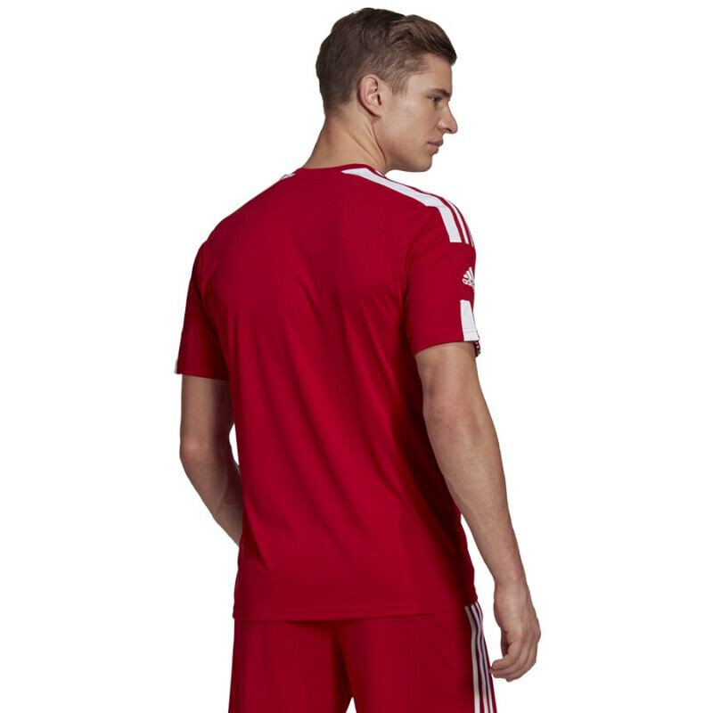 T-krekls vīriešiem Adidas Squadra 21 JSY M GN5722, sarkans cena un informācija | Vīriešu T-krekli | 220.lv