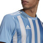 T-krekls vīriešiem Adidas Striped 21 JSY M GN5845, zils cena un informācija | Vīriešu T-krekli | 220.lv