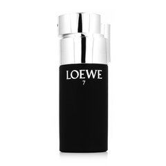 Parfimērijas ūdens Loewe 7 Anónimo EDP vīriešiem, 100 ml cena un informācija | Vīriešu smaržas | 220.lv