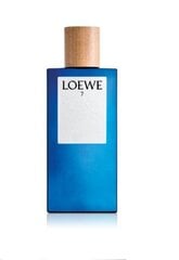 Мужская парфюмерия Loewe EDT, объём 100 мл цена и информация | Мужские духи | 220.lv