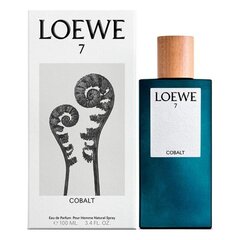 Parfimērijas ūdens Loewe 7 Cobalt EDP vīriešiem, 100 ml cena un informācija | Vīriešu smaržas | 220.lv