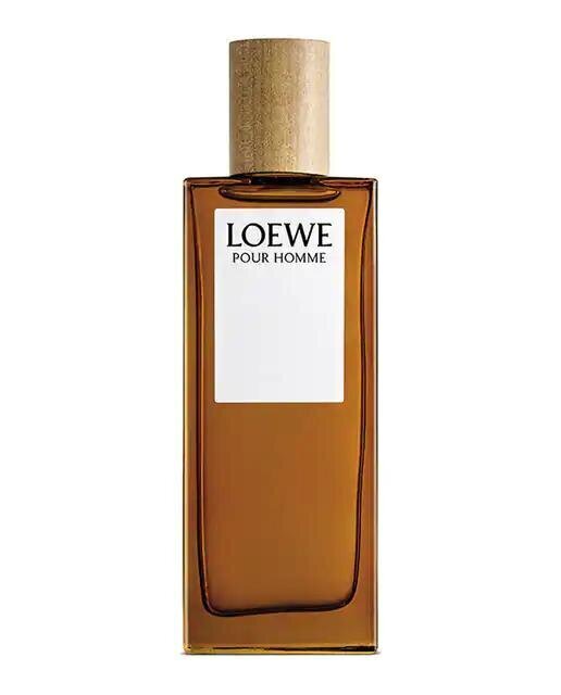 Tualetes ūdens Loewe EDT vīriešiem, 100 ml цена и информация | Vīriešu smaržas | 220.lv